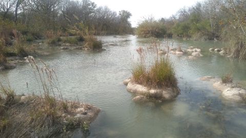 Reserva Natural de Coahuila