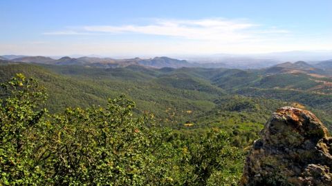 Servicios ambientales