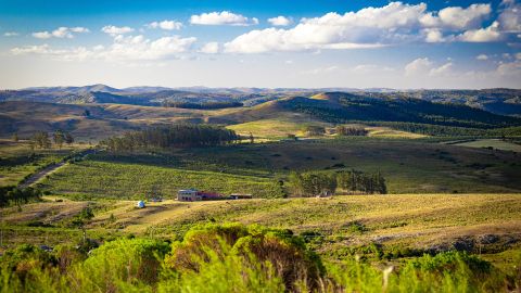 Campo en Uruguay
