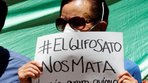 Glifosato 