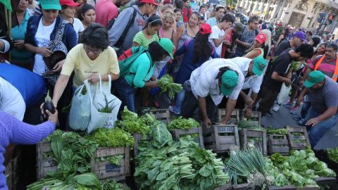 Hortalizas en Argentina