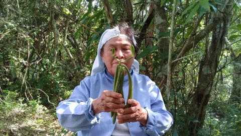 Productora de vainilla