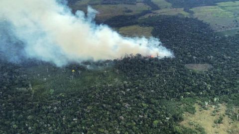 Incendio en la Amazonía colombiana