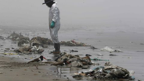 Contaminación en la playa