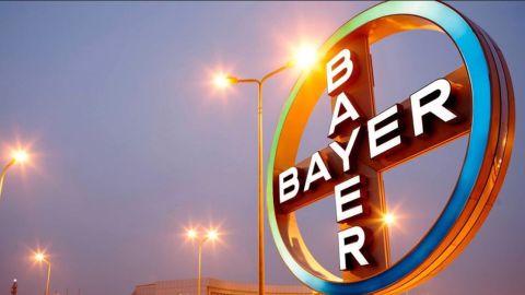 Bayer