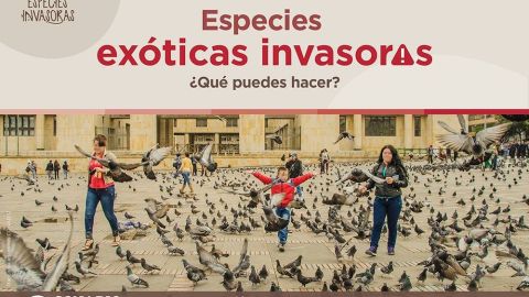 Especies invasoras