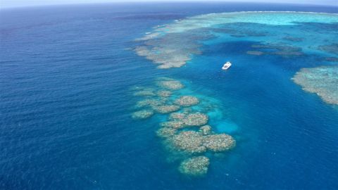Gran Barrera de los Corales