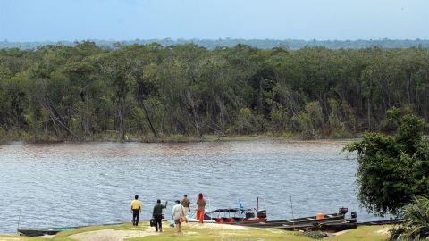 Selva en Colombia