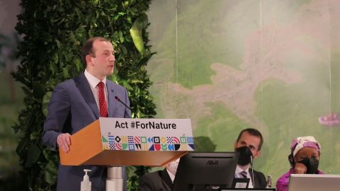 Virginijus Sinkevicius