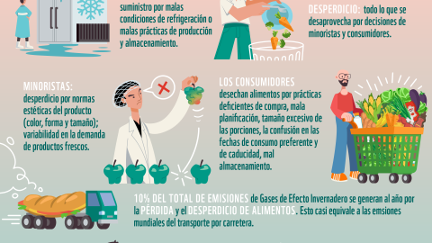 Infografía Alimentos