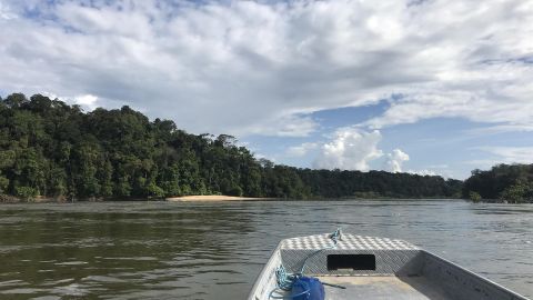 Amazonas