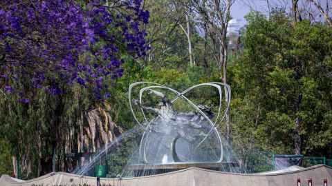 Bosque de Chapultepec