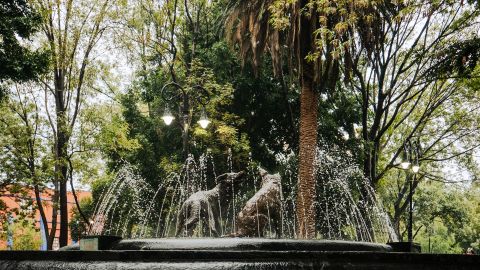 Coyoacán