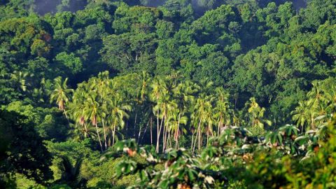 Parque Nacional Coiba