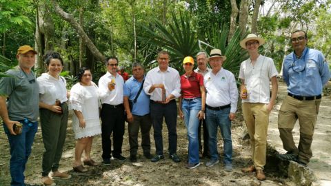 Sema de Quintana Roo