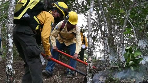 Combatiente forestal