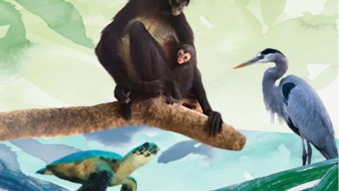 Reconocimiento a la Conservación de la Naturaleza 