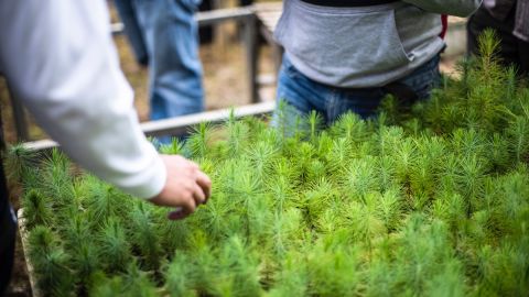 Agricultura Regenerativa Axa