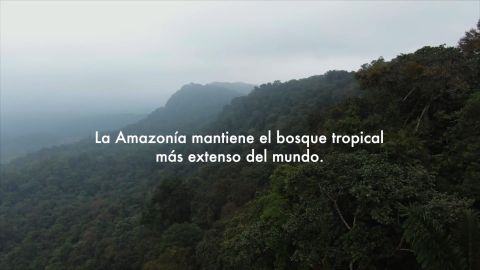 Amazonía