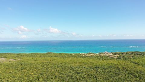 Protección de Flora y Fauna Jaguar