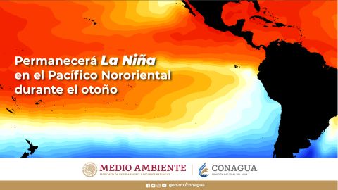 La niña 