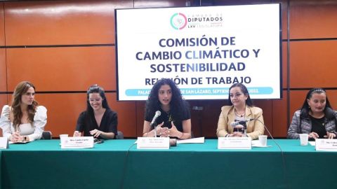 Comisión de Cambio climático