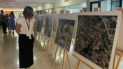 Galería Ambiental Itinerante 