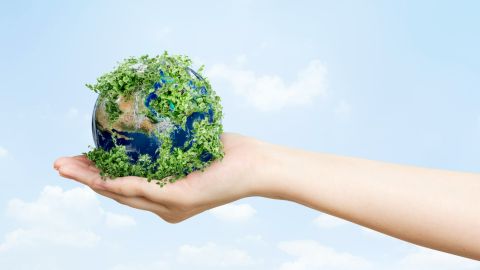 Planeta KIO Networks