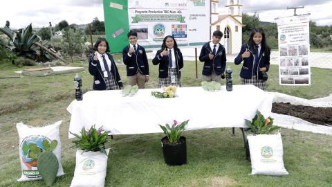 Proyecto productivo en bachillerato