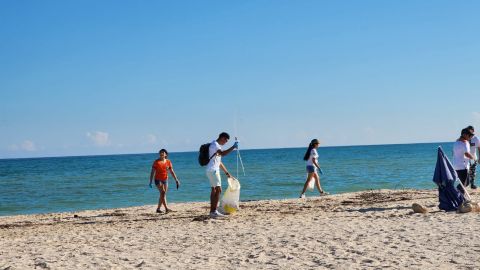 Limpieza de playas
