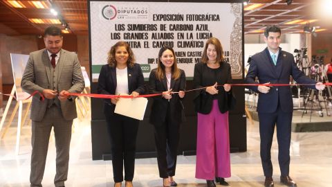 “Los sumideros de carbono azul, grandes aliados de la lucha contra el cambio climático”