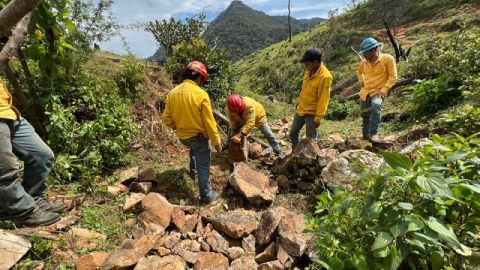 Restauración ecológica