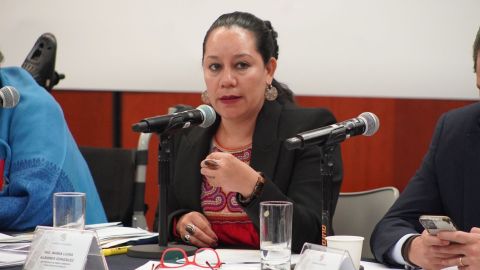 María Luisa Albores 