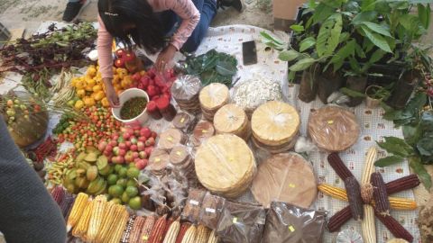 Feria de la Agrobiodiversidad