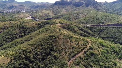 Bosque de Guanajuato