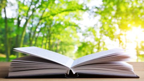 Educación ambiental