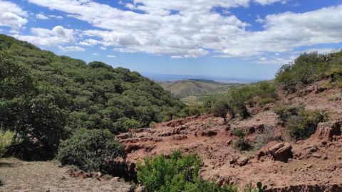 Reserva en Guanajuato