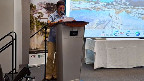 María del Carmen Rivas García