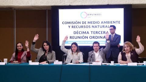 Cámara de Diputados