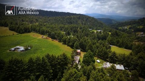 Fundación AXA México