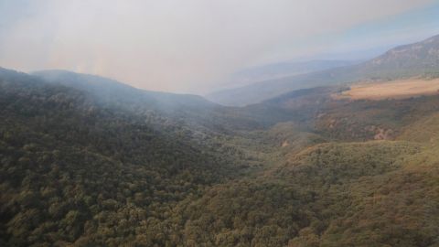 Incendio en el Bosque La Primavera