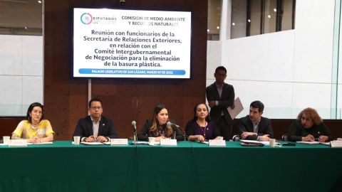 Cámara de Diputados