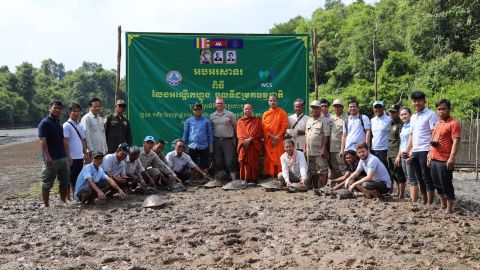 Liberan a 20 tortugas reales