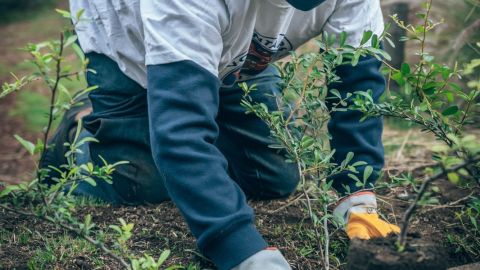 Aguas Firmes Grupo Modelo