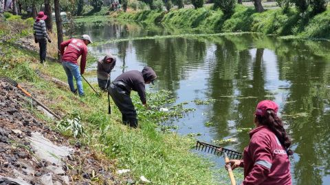 Canales de Xochimilco
