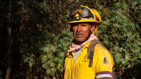 Enedino Nápoles Rosas