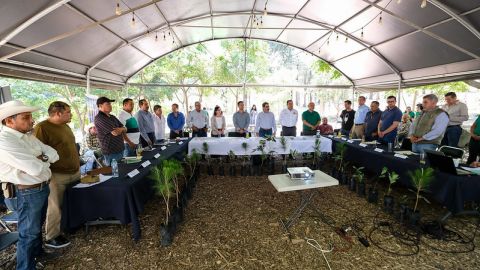 Consejo Asesor del Bosque La Primavera