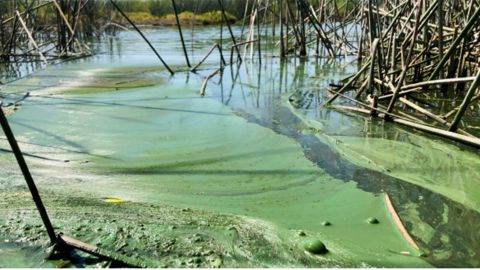 Lagunas de Montebello