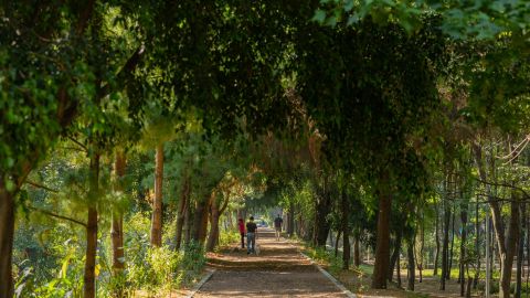 Áreas Naturales Protegidas 