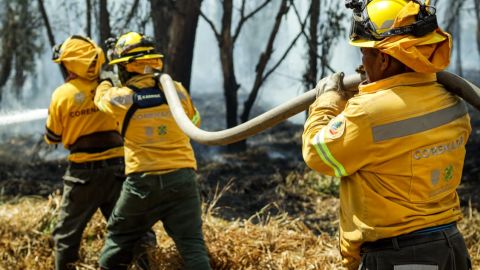 Combatiente de incendios forestales